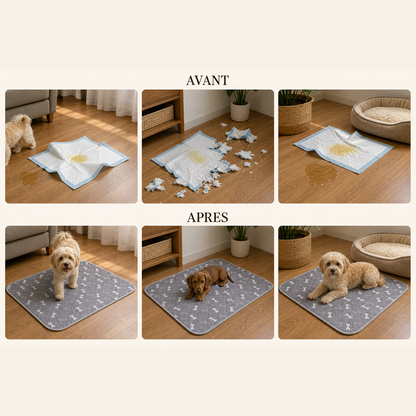 ProprePaws™ - Tapis d'Apprentissage Lavable