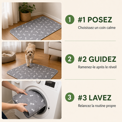 ProprePaws™ - Tapis d'Apprentissage Lavable